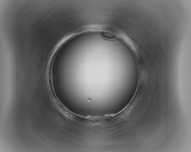 X0000112801435200908211124