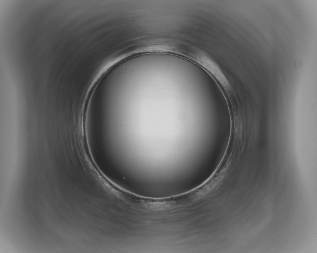 X0000112801436200908211124