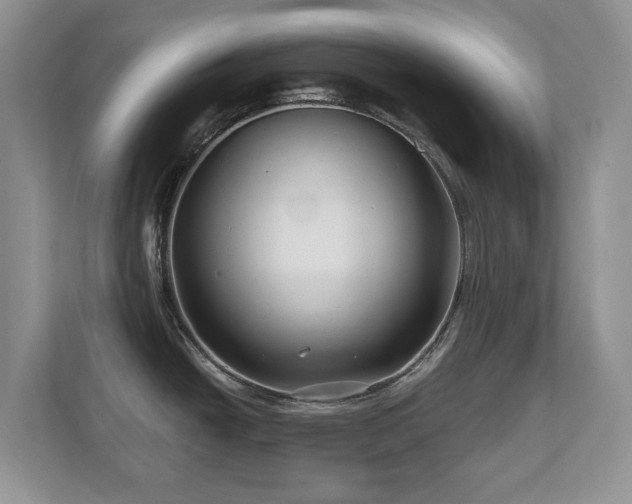 X0000112801438200908211124