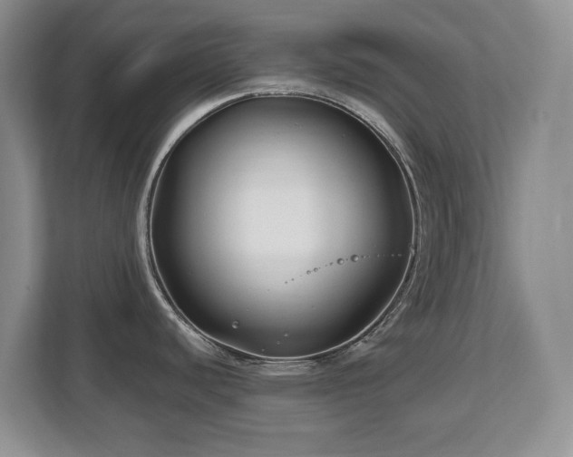X0000112801440200908211124