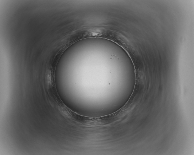 X0000112801442200908211124