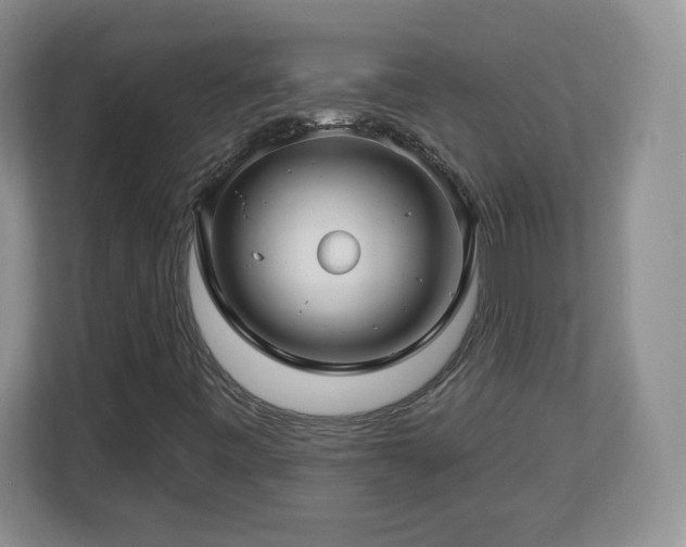 X0000112801443200908211124