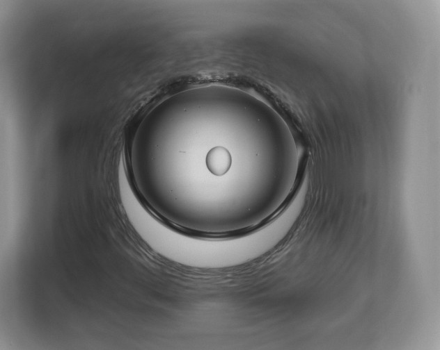 X0000112801444200908211124