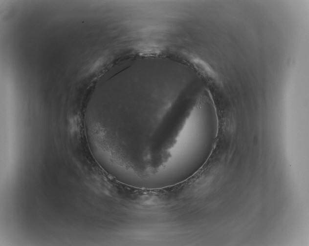 X0000112801445200908211124