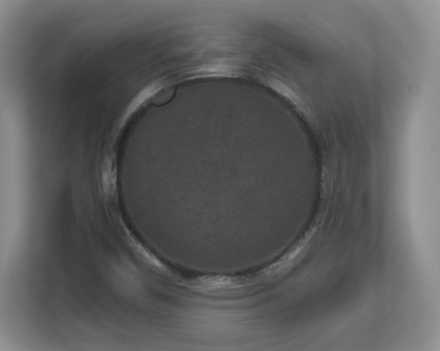 X0000112801450200908211124