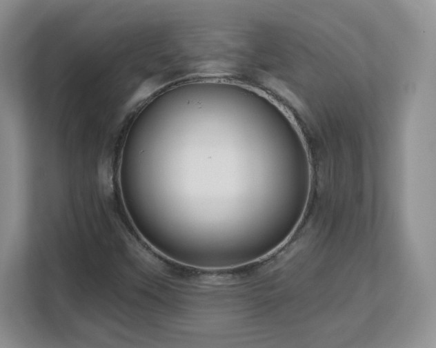 X0000112801451200908211124