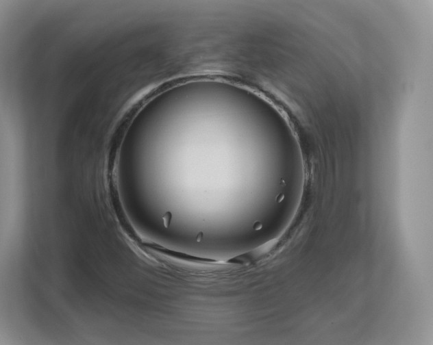 X0000112801452200908211124