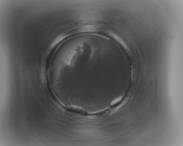 X0000112801453200908211124