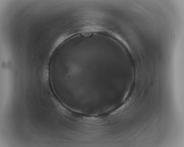 X0000112801459200908211124