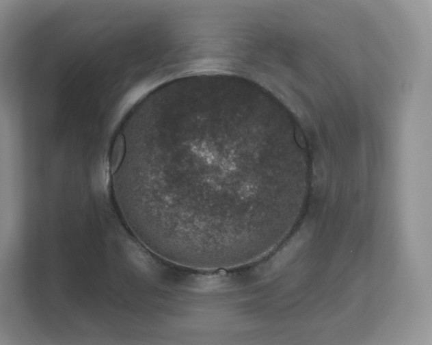 X0000112801461200908211124