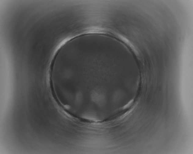 X0000112801463200908211124