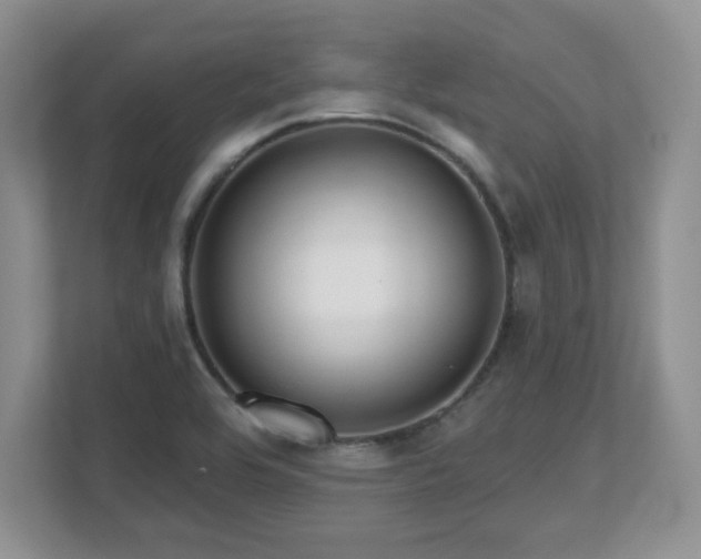 X0000112801464200908211124