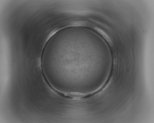 X0000112801465200908211124