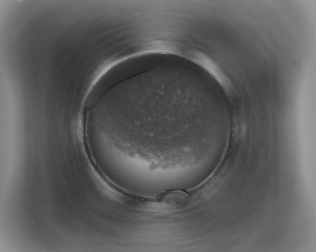 X0000112801468200908211124