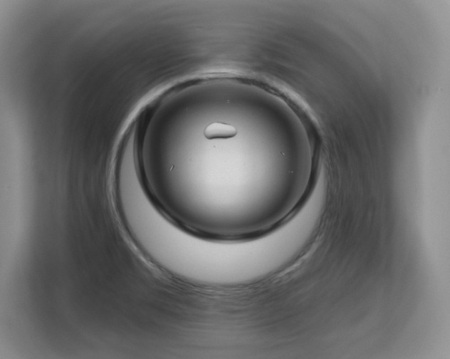 X0000112801469200908211124