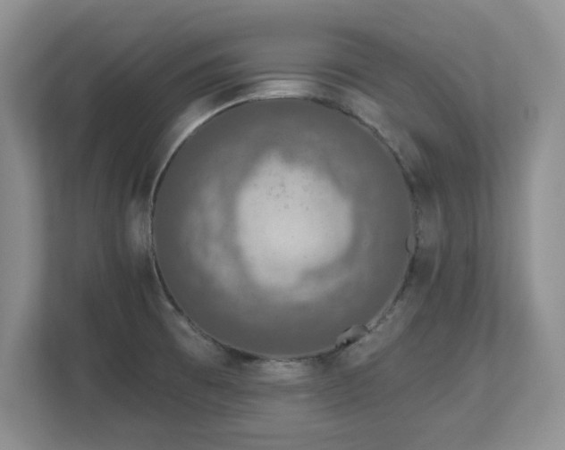 X0000112801473200908211123