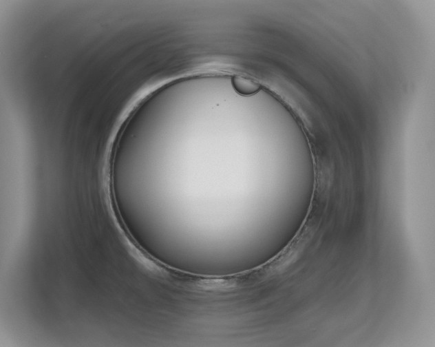 X0000112801478200908211123