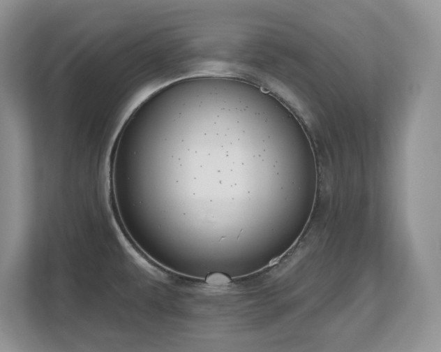 X0000112801479200908211123