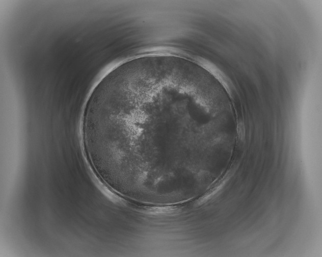 X0000112801482200908211123