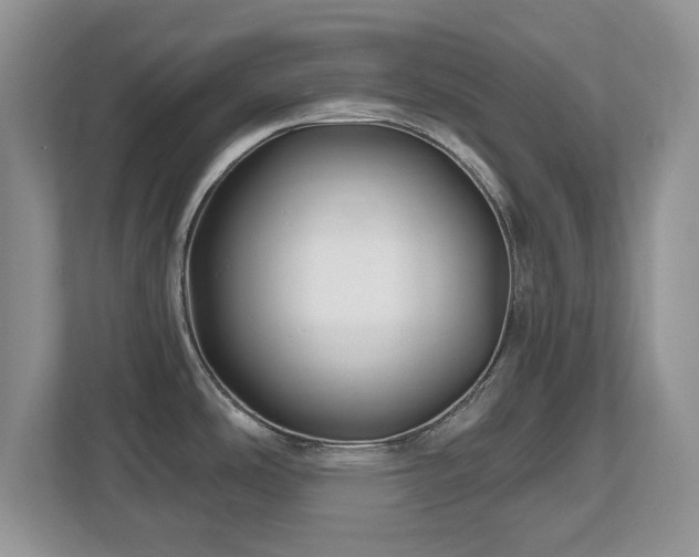 X0000112801486200908211123