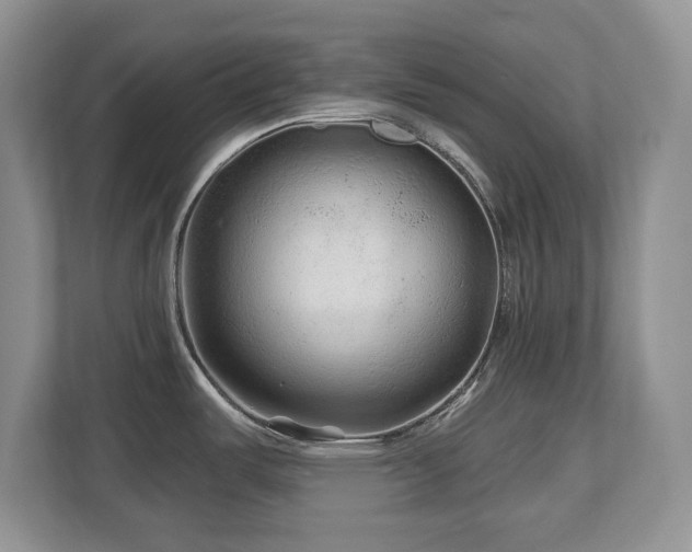 X0000112801487200908211123