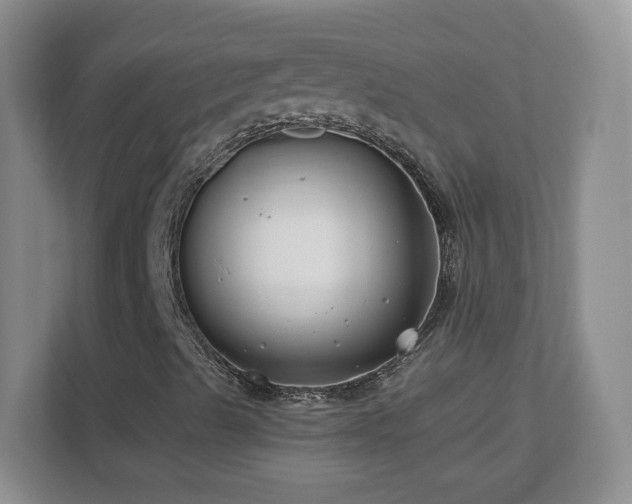 X0000112801489200908211123