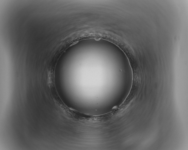 X0000112801490200908211123