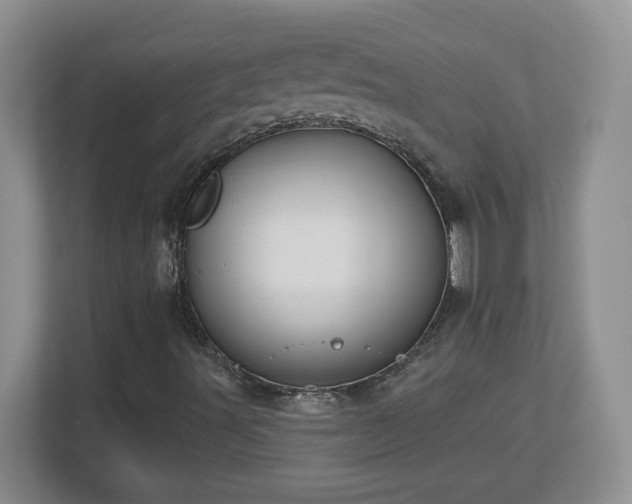 X0000112801491200908211123