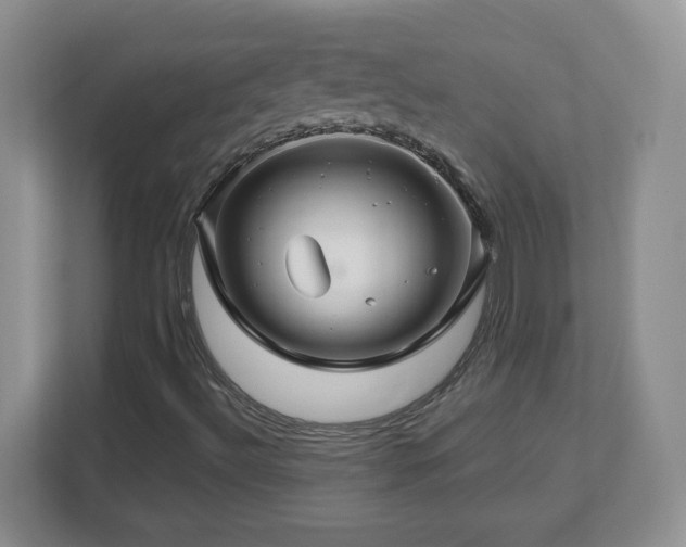 X0000112801492200908211123