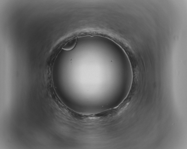 X0000112801494200908211123