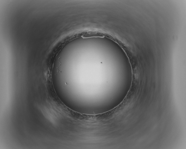 X0000112801495200908211123