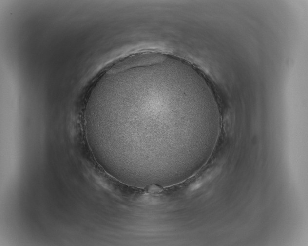 X0000112801496200908211123