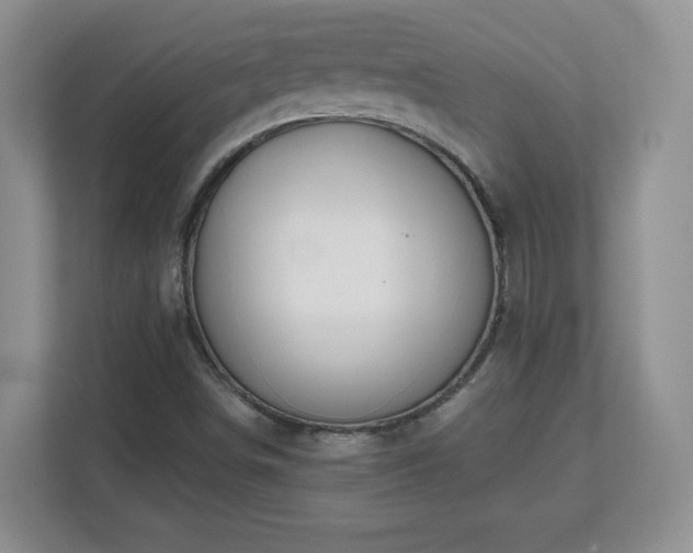 X0000112801498200908211123
