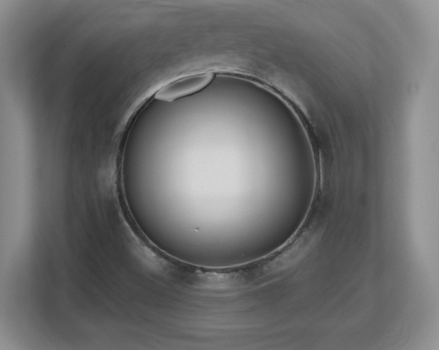 X0000112801500200908211123