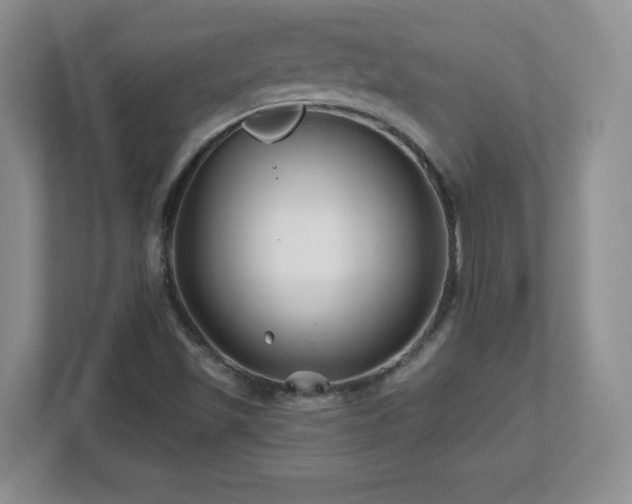X0000112801501200908211123