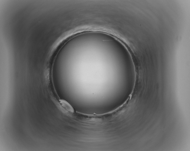X0000112801503200908211123
