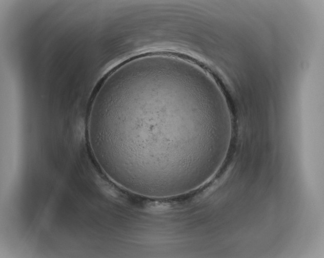 X0000112801505200908211123