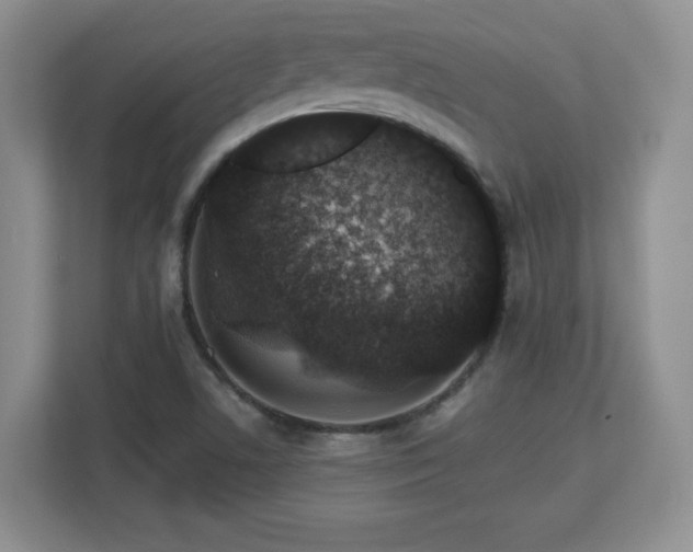 X0000112801506200908211123