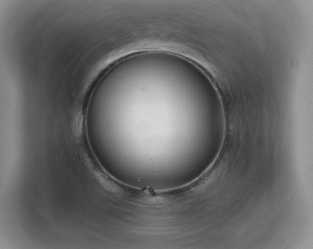 X0000112801507200908211123