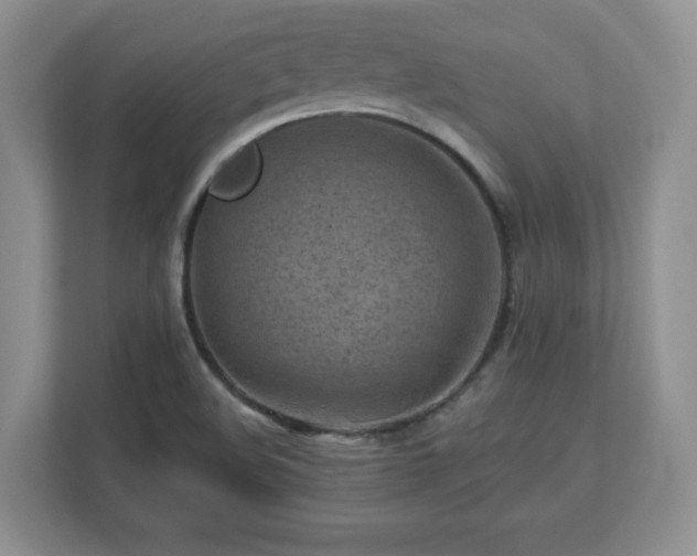 X0000112801508200908211123