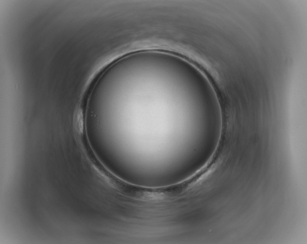 X0000112801509200908211123