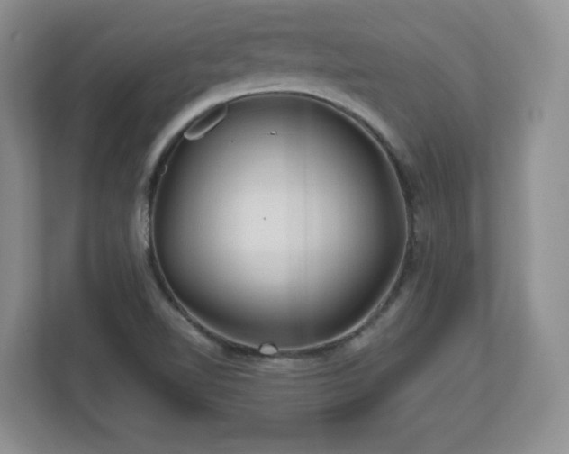 X0000112801510200908211123