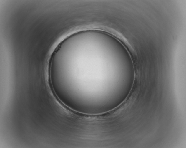 X0000112801512200908211123