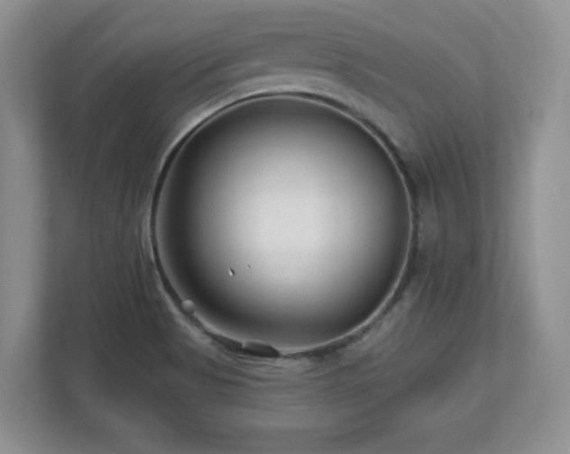 X0000112801513200908211123