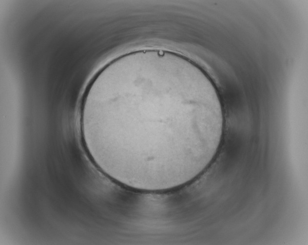 X0000112801514200908211123