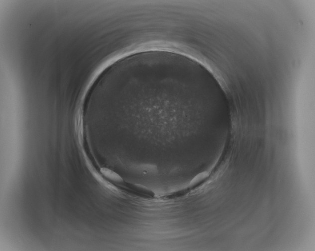 X0000112801515200908211123