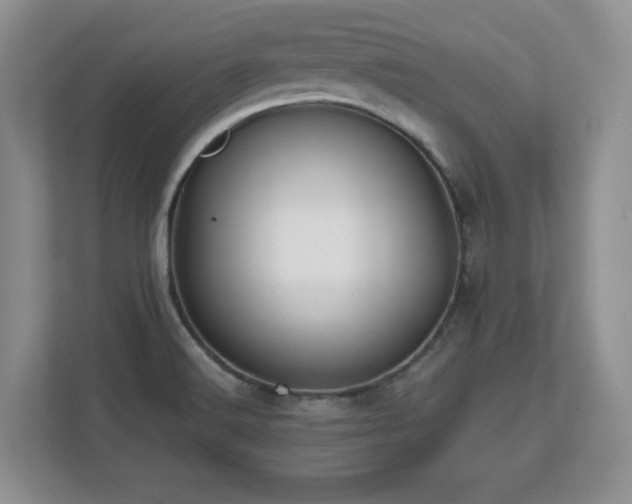 X0000112801516200908211123