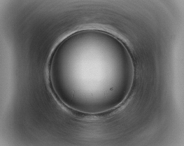 X0000112801517200908211123
