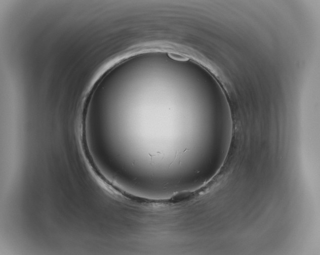 X0000112801523200908211123