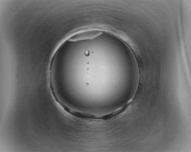 X0000112801524200908211123